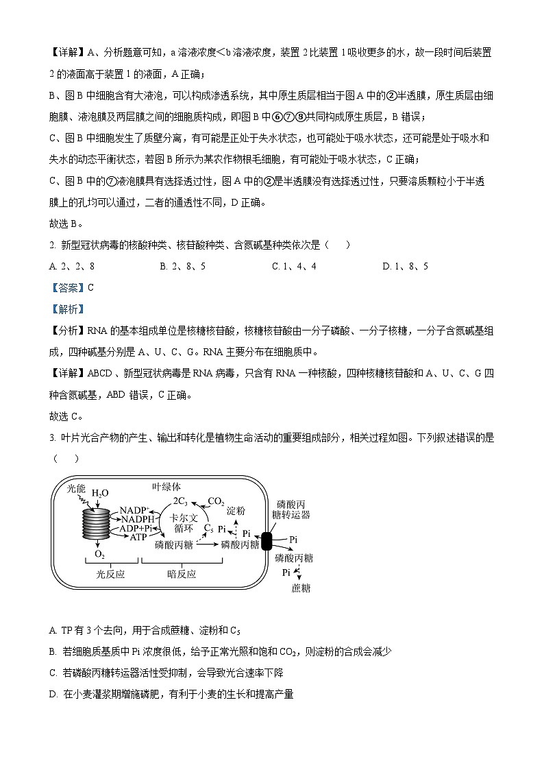 精品解析：湖南省常德市武陵区常德市第一中学2023-2024学年高一下学期期末考试生物试卷　（解析版）第2页