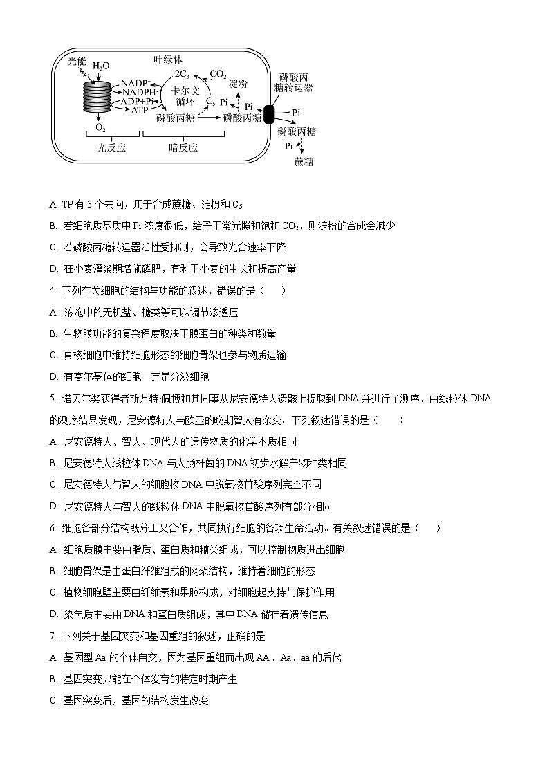 精品解析：湖南省常德市武陵区常德市第一中学2023-2024学年高一下学期期末考试生物试卷　（原卷版）第2页