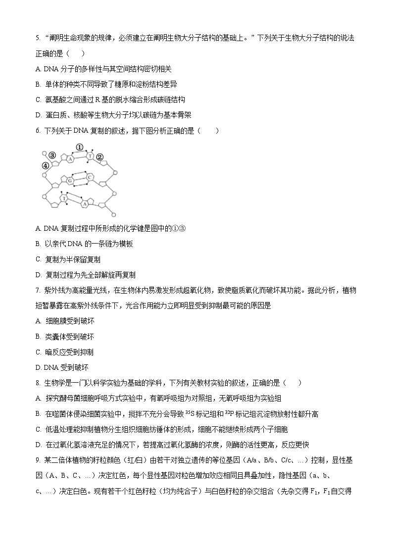 精品解析：湖南省株洲市渌口区第五中学2023-2024学年高一下学期期末考试生物试题（原卷版）第2页