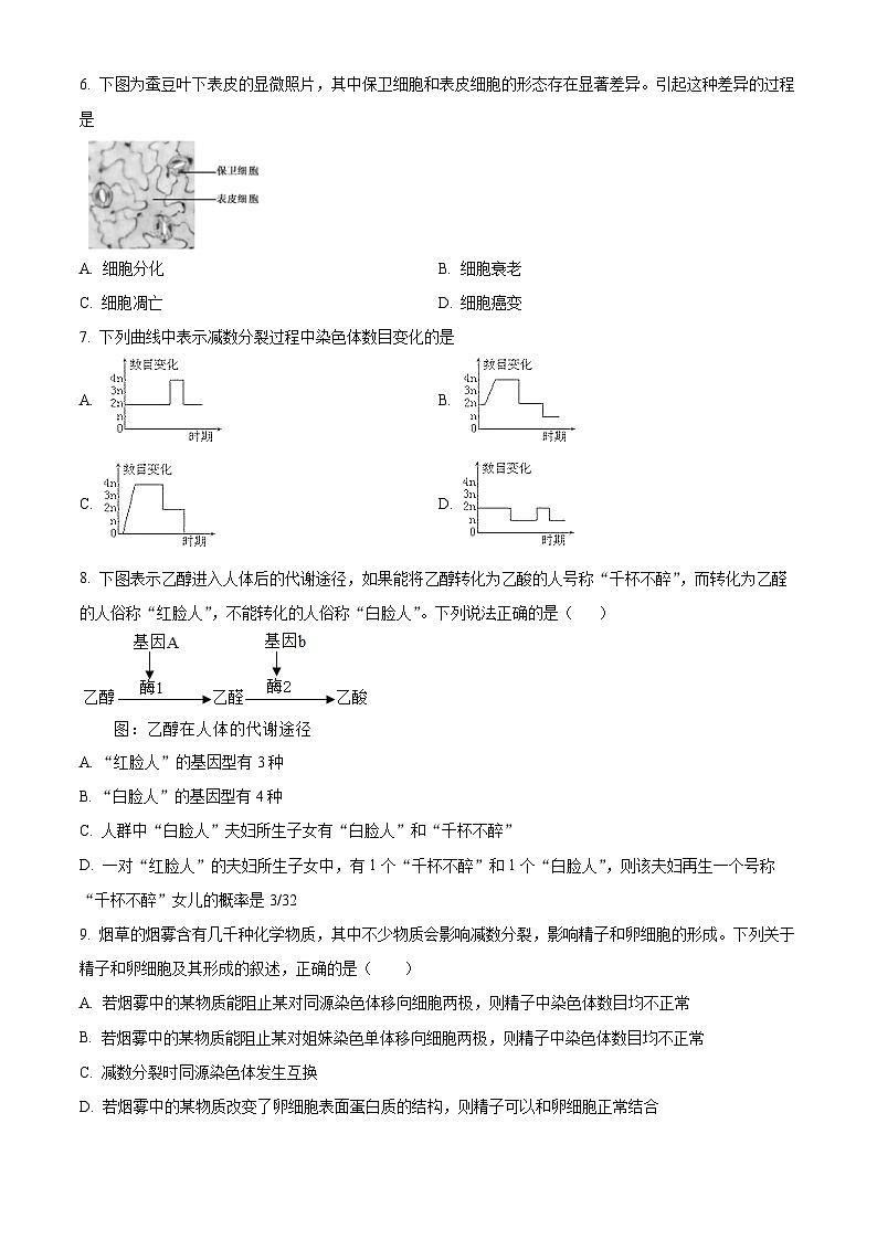 精品解析：湖南省衡阳市耒阳市耒阳市正源学校2023-2024学年高一下学期7月期末生物试题（原卷版）第2页