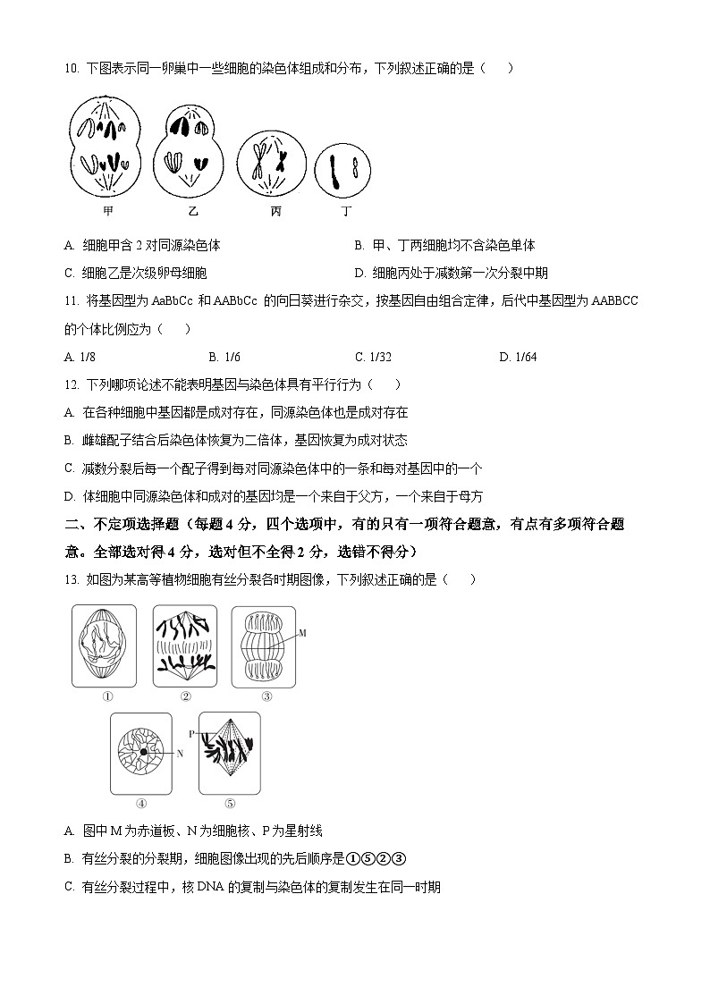 精品解析：湖南省衡阳市耒阳市耒阳市正源学校2023-2024学年高一下学期7月期末生物试题（原卷版）第3页