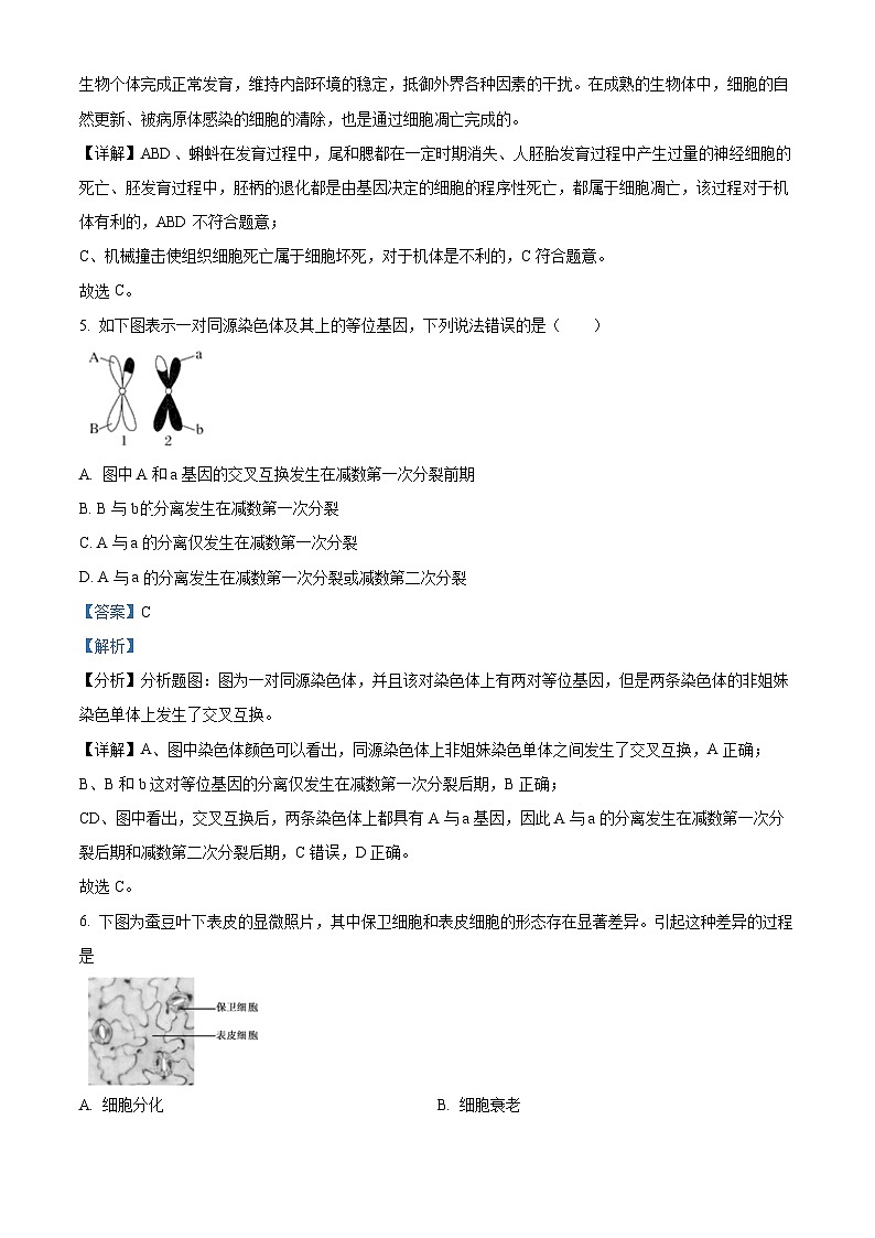 精品解析：湖南省衡阳市耒阳市耒阳市正源学校2023-2024学年高一下学期7月期末生物试题（解析版）第3页