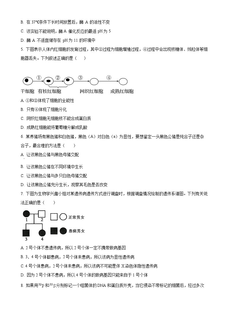 精品解析：湖南省益阳市安化县两校联考2023-2024学年高二下学期7月期末生物试题（原卷版）第2页
