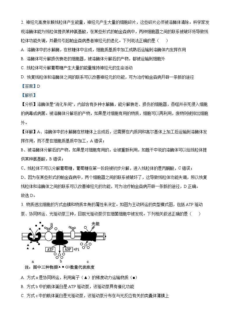 精品解析：湖南省衡阳市衡郡高级中学有限公司2023-2024学年高二下学期期末生物试卷（解析版）第2页