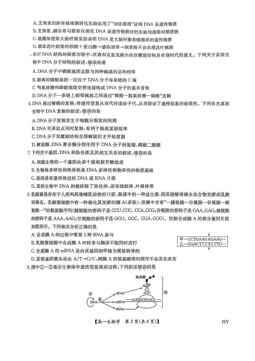 河南省南阳市九师联盟2024-2025学年高一下学期6月期末考试生物试卷（PDF版附解析）第2页