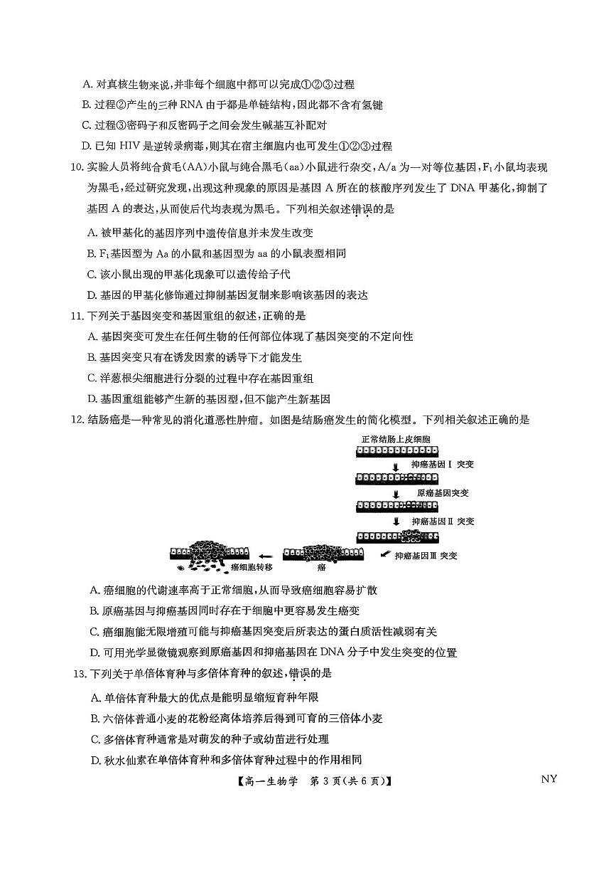 河南省南阳市九师联盟2024-2025学年高一下学期6月期末考试生物试卷（PDF版附解析）第3页