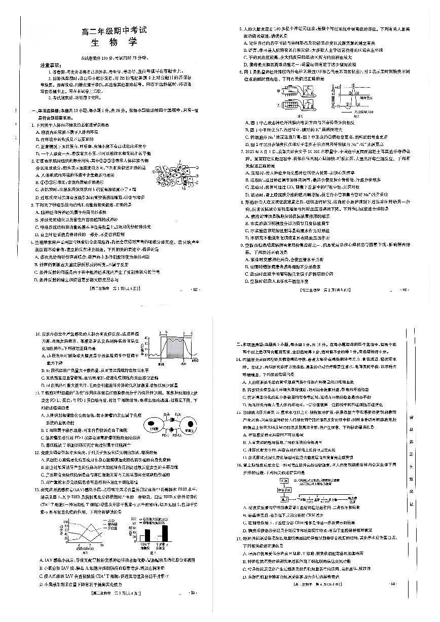 河北省邯郸市2024-2025学年高二年级上学期期中生物学试卷第1页