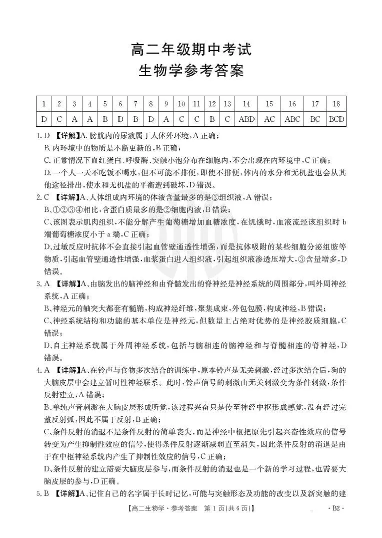 河北省邯郸市2024-2025学年高二年级上学期期中生物学试卷答案第1页