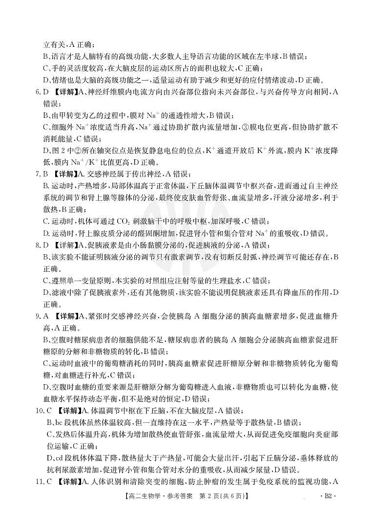 河北省邯郸市2024-2025学年高二年级上学期期中生物学试卷答案第2页