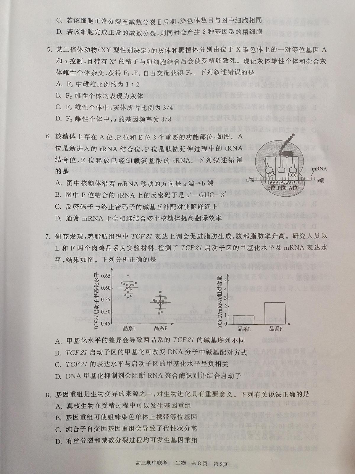 河北省邯郸市部分学校2024-2025学年高三上学期11月期中联考生物试题第2页