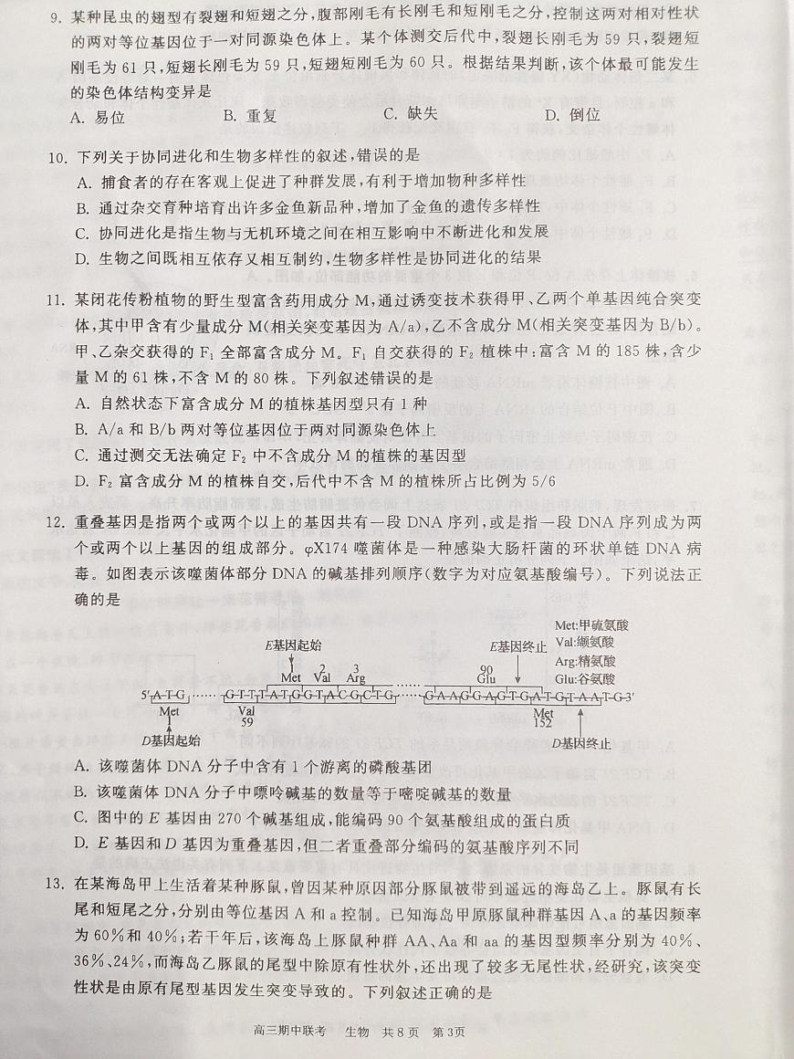 河北省邯郸市部分学校2024-2025学年高三上学期11月期中联考生物试题第3页