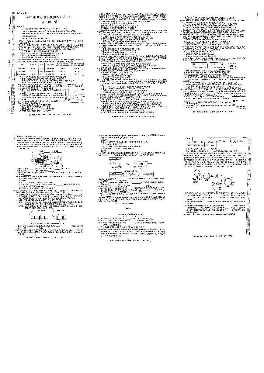 河北省邯郸市部分学校2024-2025学年高三上学期11月期中考试生物试题第1页