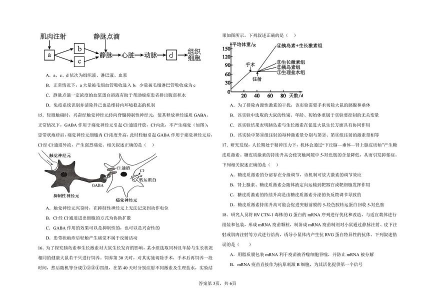 河北省邯郸市大名县第一中学2024-2025学年高二上学期10月月考生物试卷第3页
