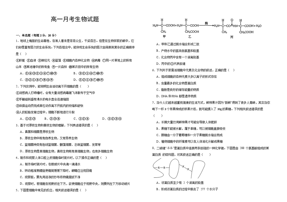 河北省邯郸市大名县第一中学2024-2025学年高一上学期10月月考生物试卷第1页