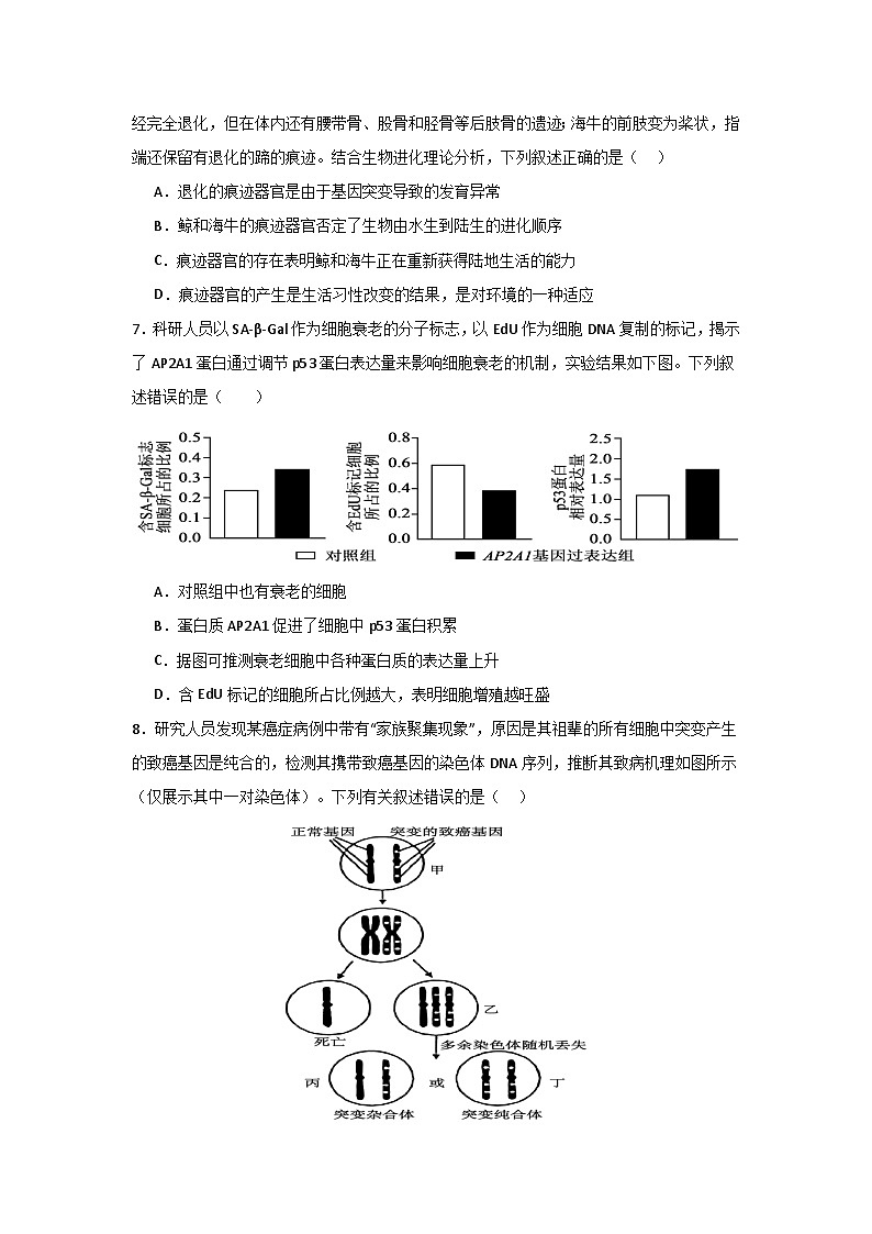海南省部分中学2024-2025学年高一下学期第三次月考生物试题第3页