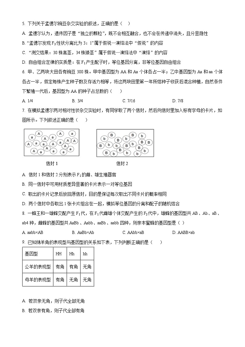 河南省方城县第一高级中学2024-2025学年高一下学期4月期中考试生物试题第2页
