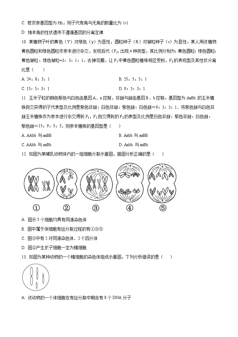 河南省方城县第一高级中学2024-2025学年高一下学期4月期中考试生物试题第3页
