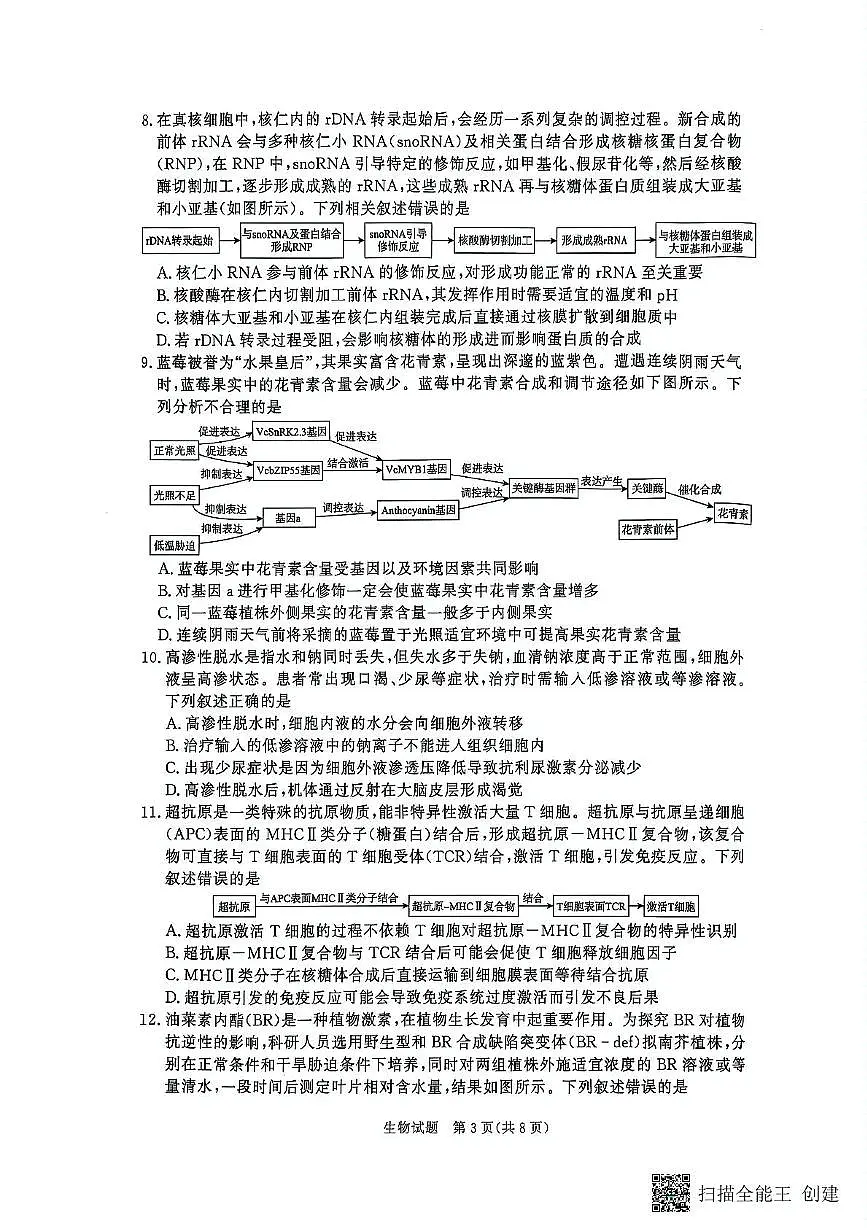 新乡市2024-2025学年下学期高二大联考6月月考生物第3页