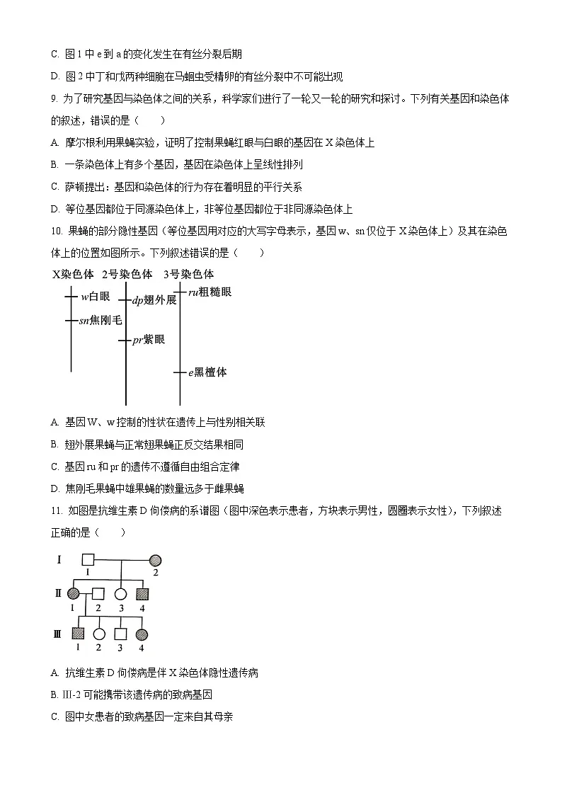 河南省许昌市部分学校2024-2025学年高一下学期4月期中生物试题第3页