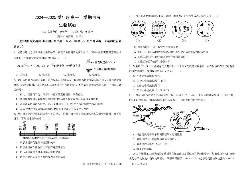 黑龙江省双鸭山市尖山区双鸭山市第一中学2024-2025学年高一下学期6月月考生物试题第1页