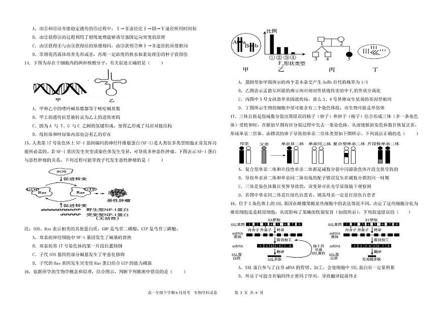 黑龙江省双鸭山市尖山区双鸭山市第一中学2024-2025学年高一下学期6月月考生物试题第3页