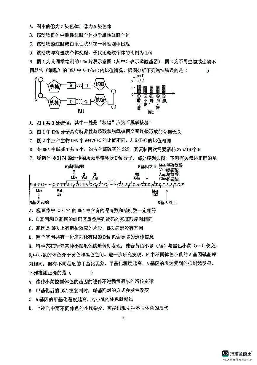 山东省青岛市胶州市实验中学2024-2025学年高一下学期6月月考生物试题第2页