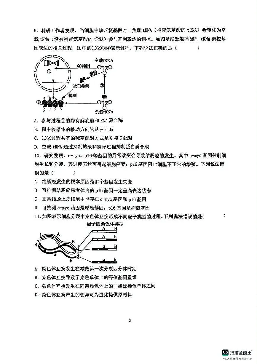 山东省青岛市胶州市实验中学2024-2025学年高一下学期6月月考生物试题第3页