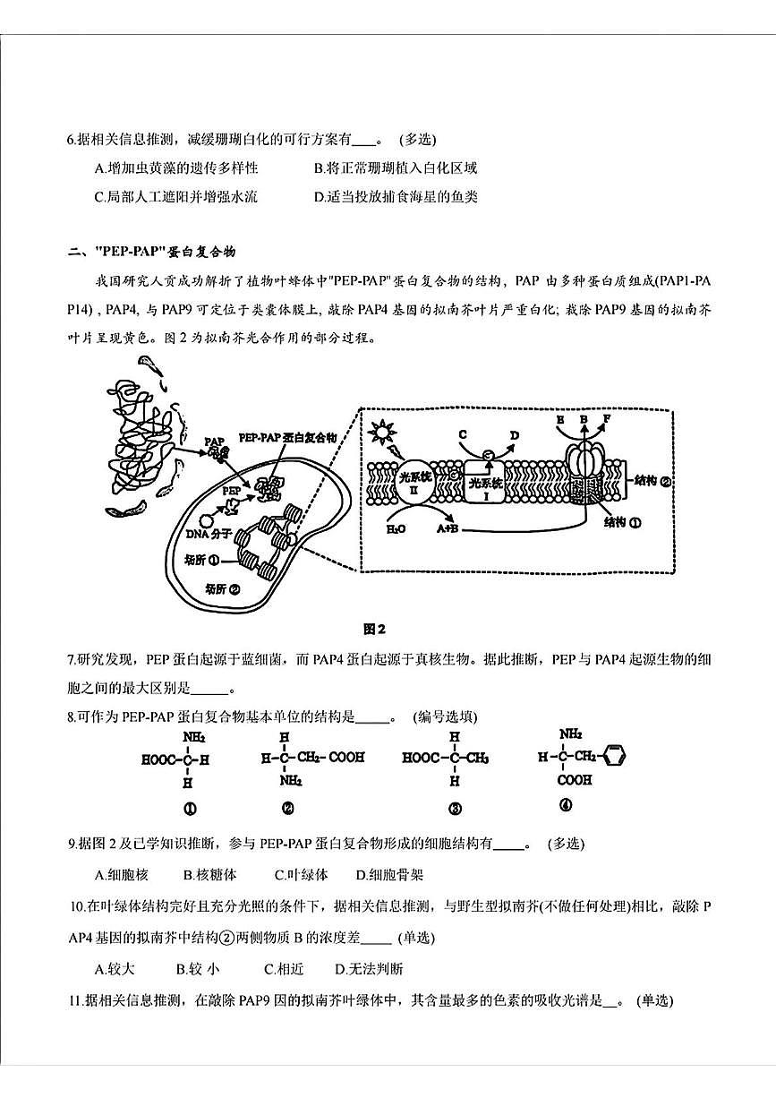 上海市虹口区2024-2025学年高二下学期高中学业水平等级考模拟生物试卷第2页