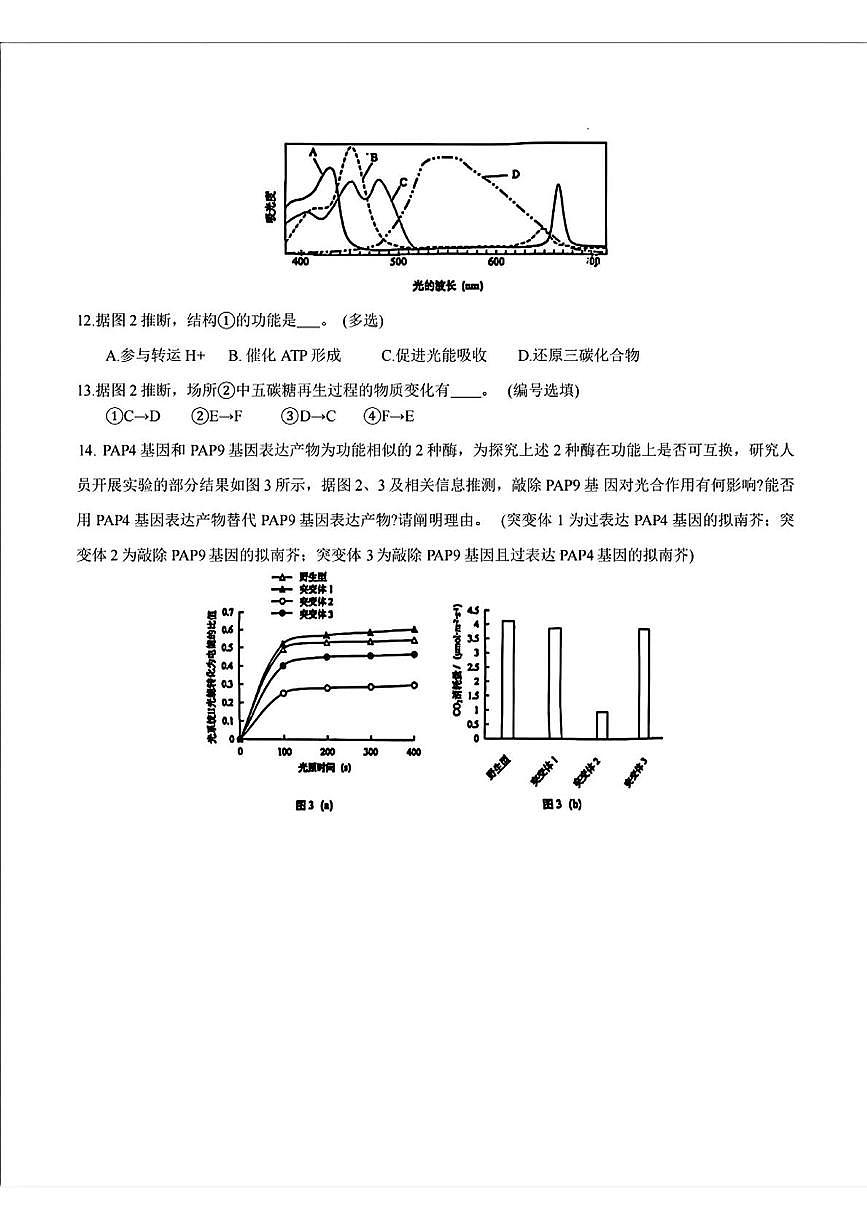 上海市虹口区2024-2025学年高二下学期高中学业水平等级考模拟生物试卷第3页