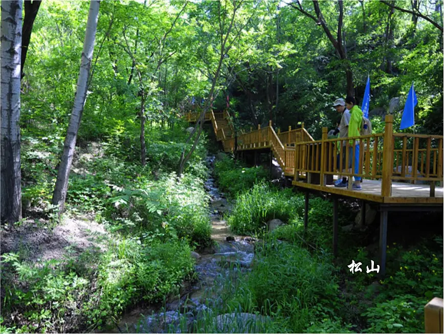 人教版 (新课标)高中生物必修3 4-3《群落的结构》课件第2页