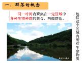 人教版 (新課標)高中生物必修3 4-3《群落的結(jié)構》課件