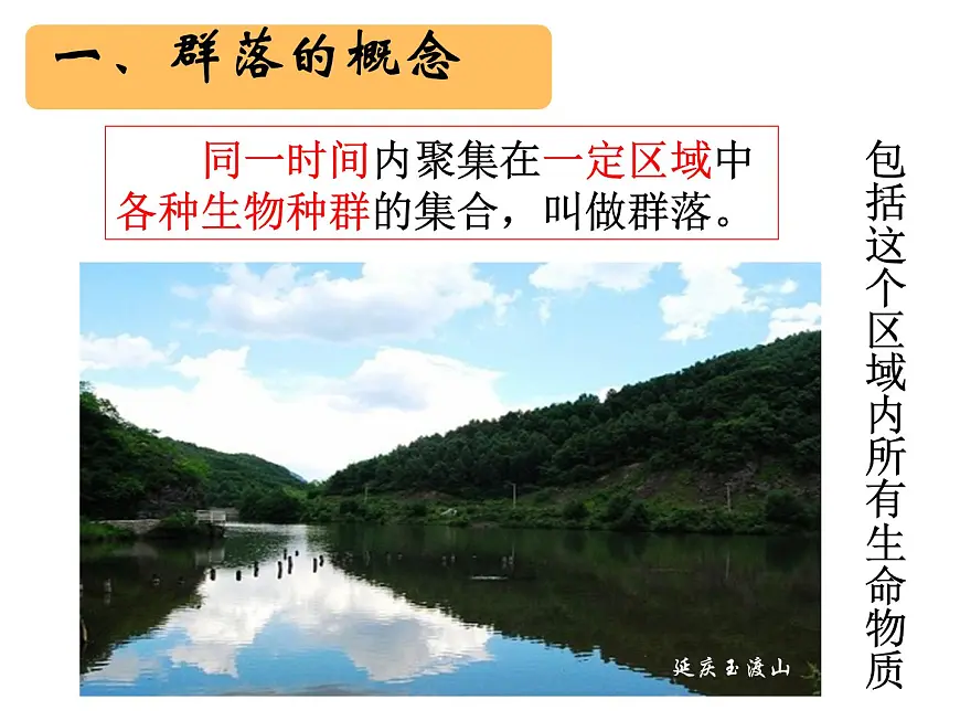 人教版 (新课标)高中生物必修3 4-3《群落的结构》课件第3页