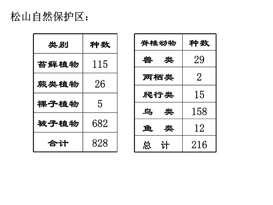 人教版 (新课标)高中生物必修3 4-3《群落的结构》课件第5页