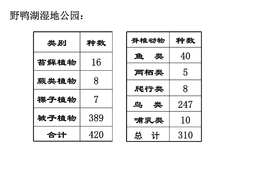 人教版 (新课标)高中生物必修3 4-3《群落的结构》课件第6页