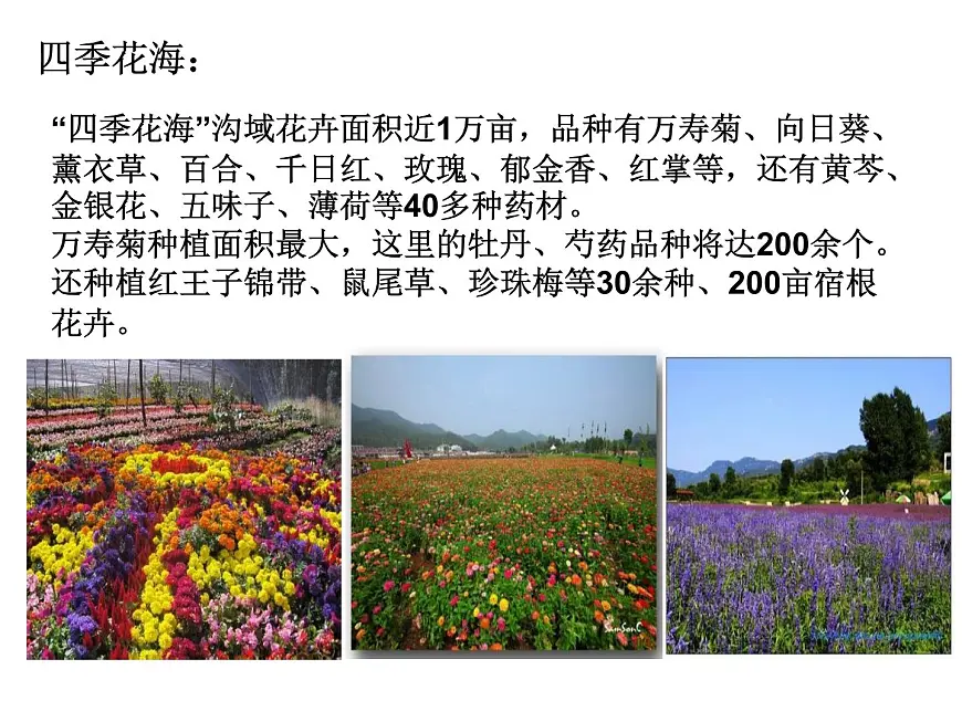 人教版 (新课标)高中生物必修3 4-3《群落的结构》课件第7页