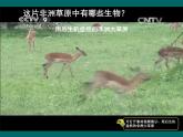 人教版 (新課標)高中生物必修3 4-3《群落的結(jié)構》課件