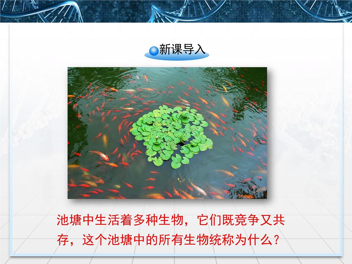 人教版 (新课标)高中生物必修3 4-3《群落的结构》名校课件第2页