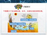 人教版 (新課標)高中生物必修3 4-3《群落的結(jié)構》名校課件