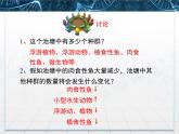 人教版 (新課標)高中生物必修3 4-3《群落的結(jié)構》名校課件