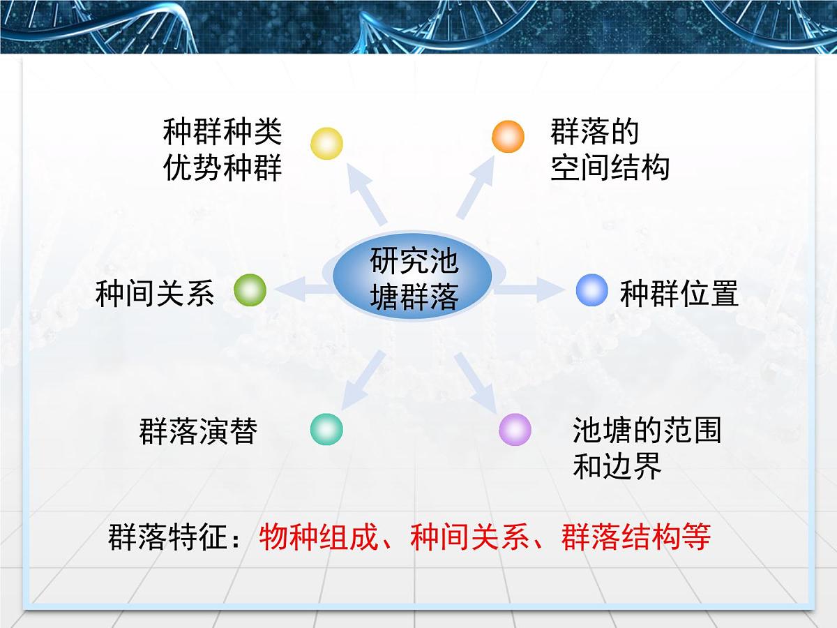 人教版 (新课标)高中生物必修3 4-3《群落的结构》名校课件第7页