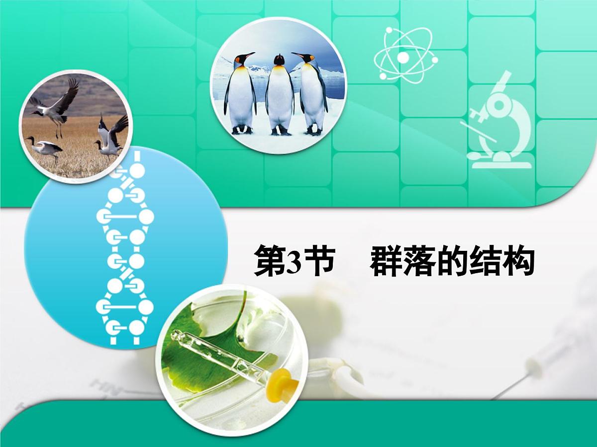 人教版 (新课标)高中生物必修3 4-3《群落的结构》复习课件第1页