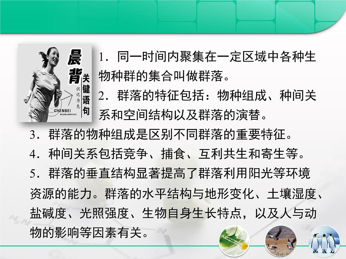 人教版 (新课标)高中生物必修3 4-3《群落的结构》复习课件第2页