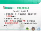 人教版 (新課標)高中生物必修3 4-3《群落的結(jié)構》復習課件