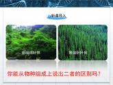 人教版 (新課標(biāo))高中生物必修3 4-3《群落的結(jié)構(gòu)》精品課件