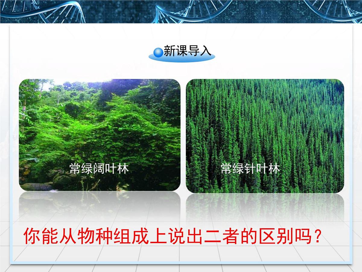 人教版 (新课标)高中生物必修3 4-3《群落的结构》精品课件第2页