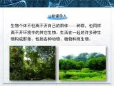 人教版 (新課標(biāo))高中生物必修3 4-3《群落的結(jié)構(gòu)》精品課件