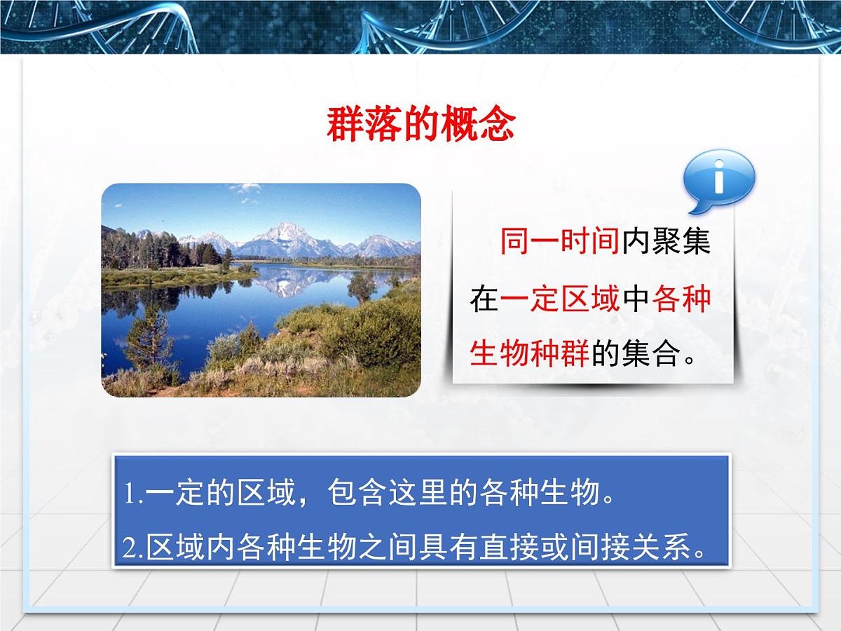 人教版 (新课标)高中生物必修3 4-3《群落的结构》精品课件第5页