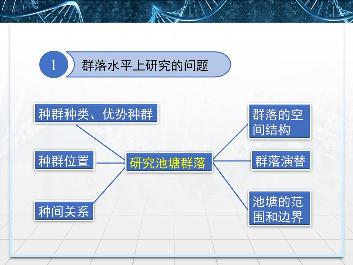 人教版 (新课标)高中生物必修3 4-3《群落的结构》精品课件第7页