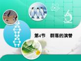 人教版 (新課標(biāo))高中生物必修3 4-4《群落的演替》復(fù)習(xí)課件