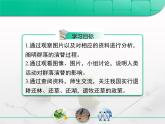 人教版 (新課標(biāo))高中生物必修3 4-4《群落的演替》復(fù)習(xí)課件